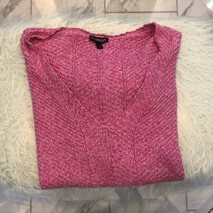 Express V-Neck Sweater